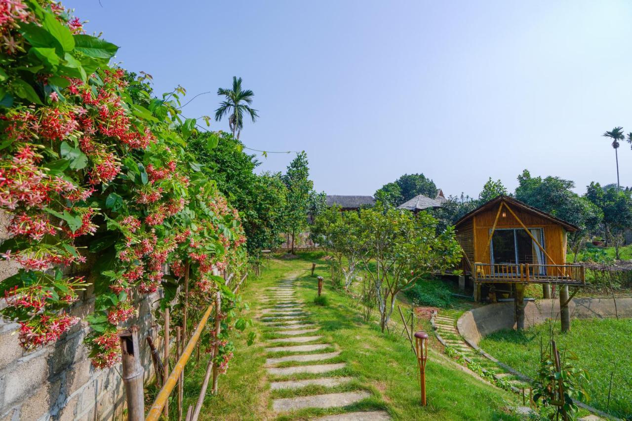 Little Bee House Otel Trai Vang Dış mekan fotoğraf