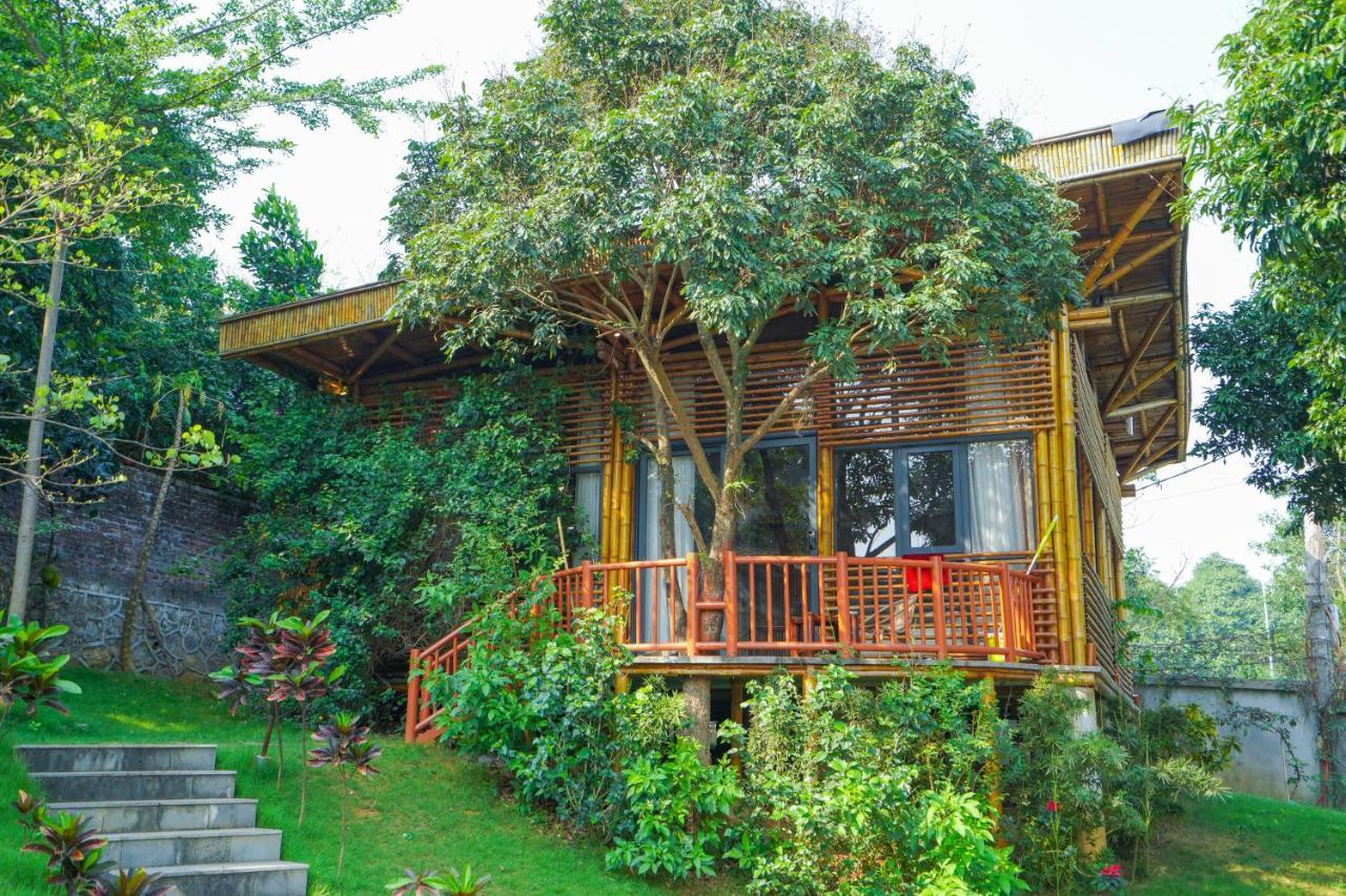 Little Bee House Otel Trai Vang Dış mekan fotoğraf