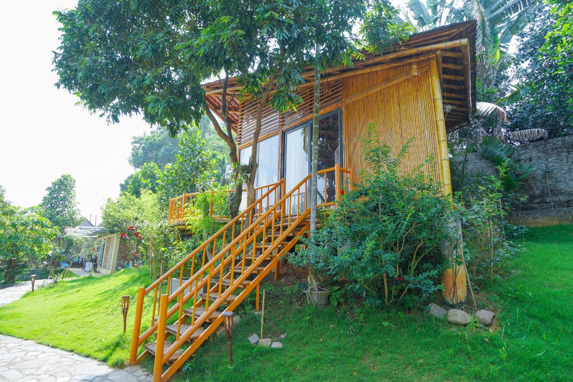 Little Bee House Otel Trai Vang Dış mekan fotoğraf