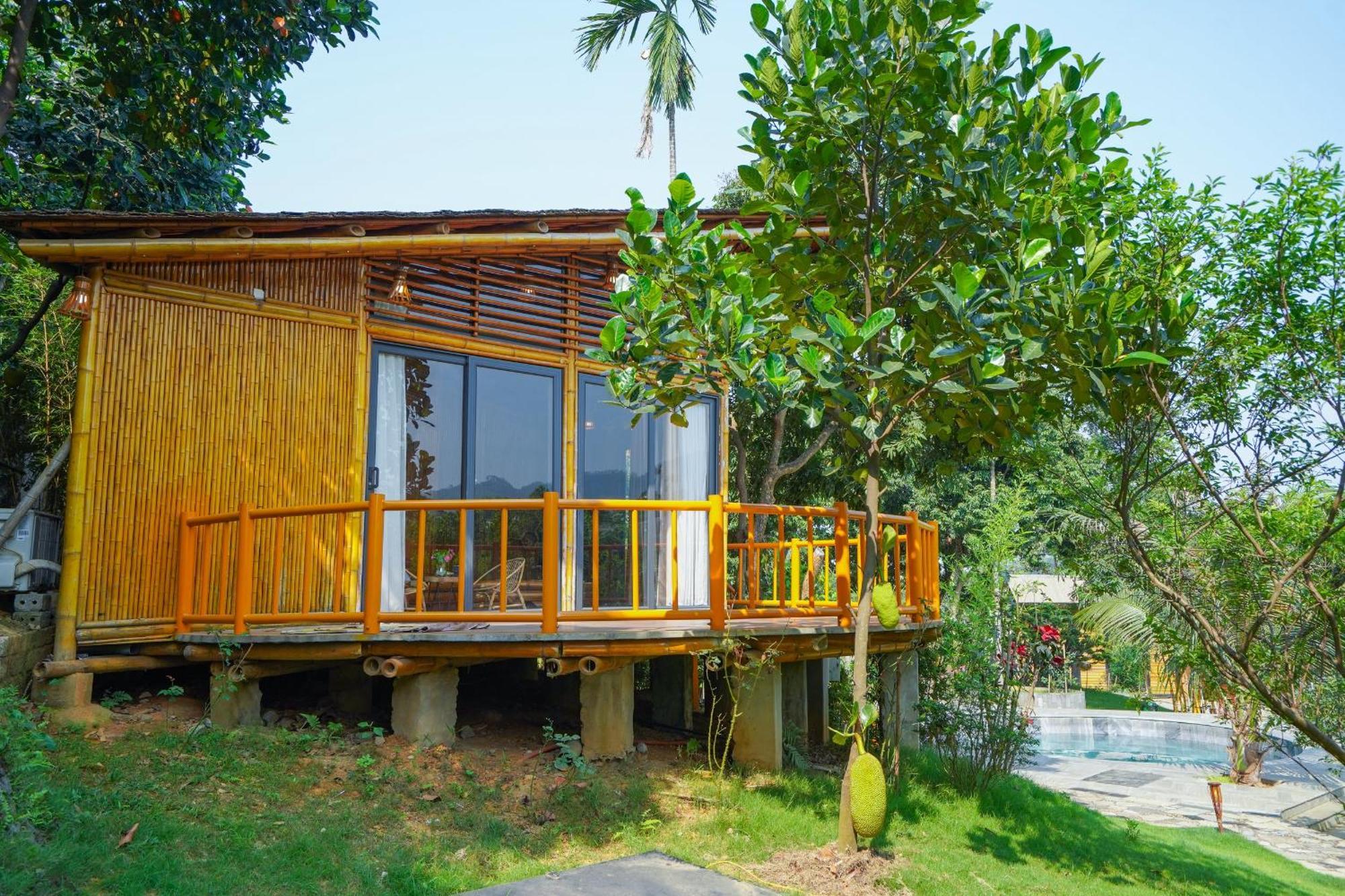 Little Bee House Otel Trai Vang Dış mekan fotoğraf