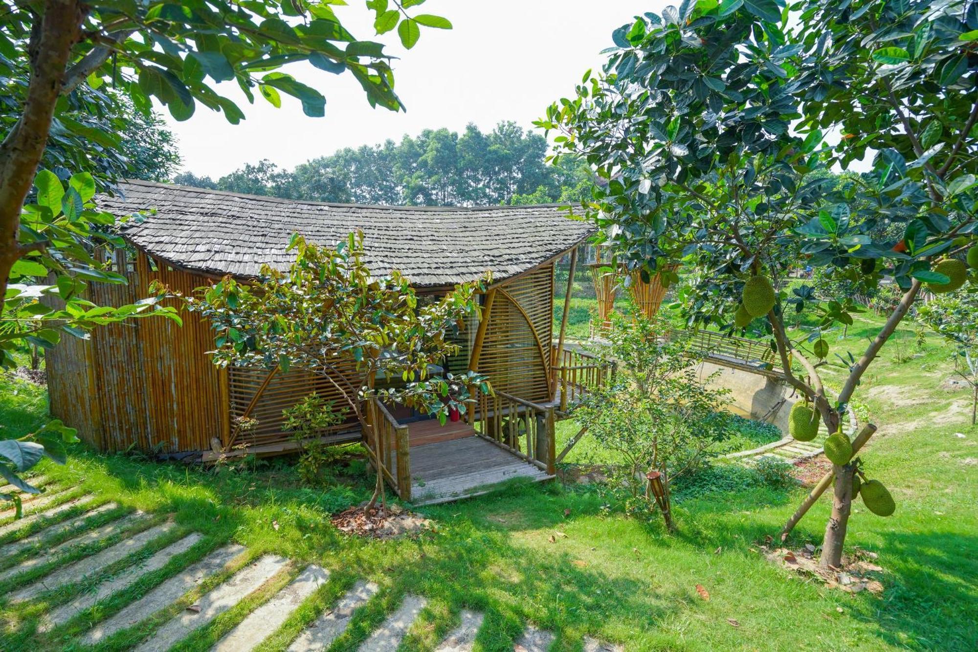 Little Bee House Otel Trai Vang Dış mekan fotoğraf