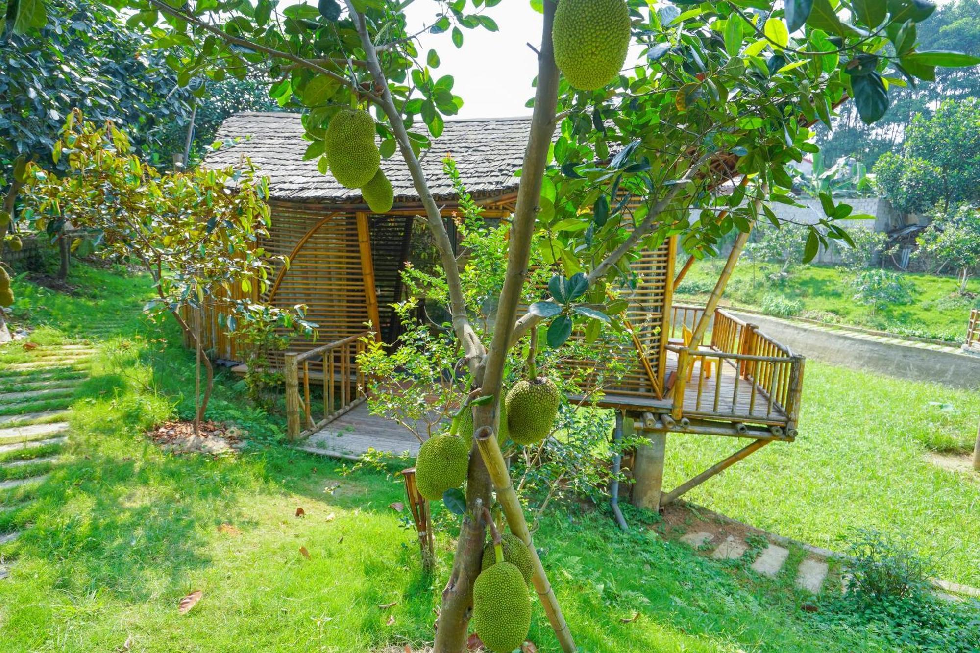 Little Bee House Otel Trai Vang Dış mekan fotoğraf